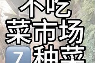 natsume 2 game Ảnh chụp màn hình 3